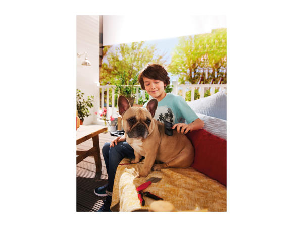 Zoofari Pet Grooming Set1