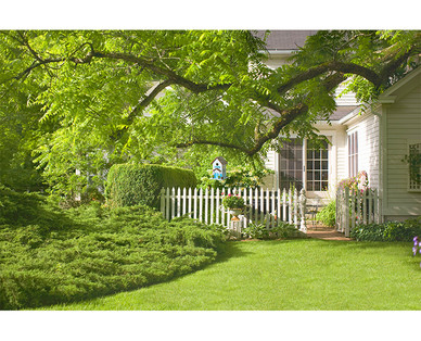 Gardenline Decorative Bird House