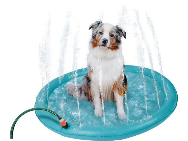 Dog Water Sprinkler Play Mat