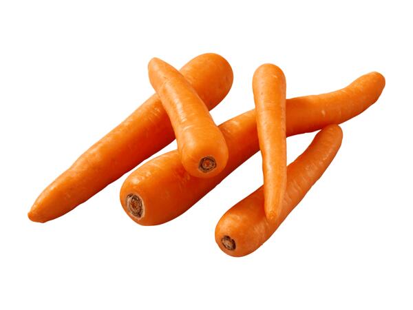 Carottes suisses bio