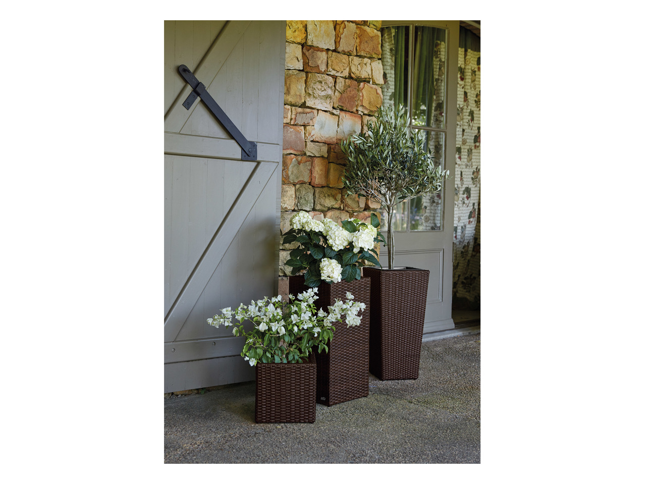 Florabest Wicker Planter1