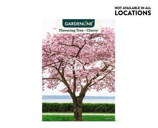 Gardenline 
 Shade or Ornamental Tree Assorted Varieties