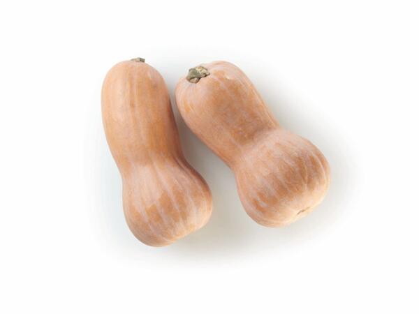 Butternut Pumpkin