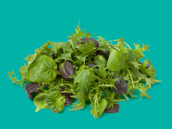 Oaklands Baby Leaf & Herb Bagged Salad