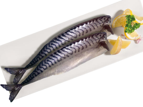 FISCHERSTOLZ Makrele im Stück