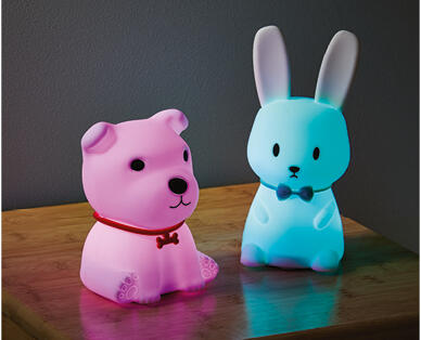 Rechargeable Night Light