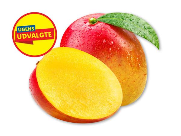 Mango
