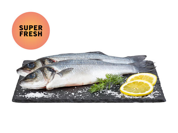 Loup de mer Cromaris