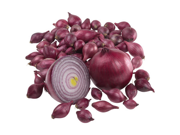 Sætteløg