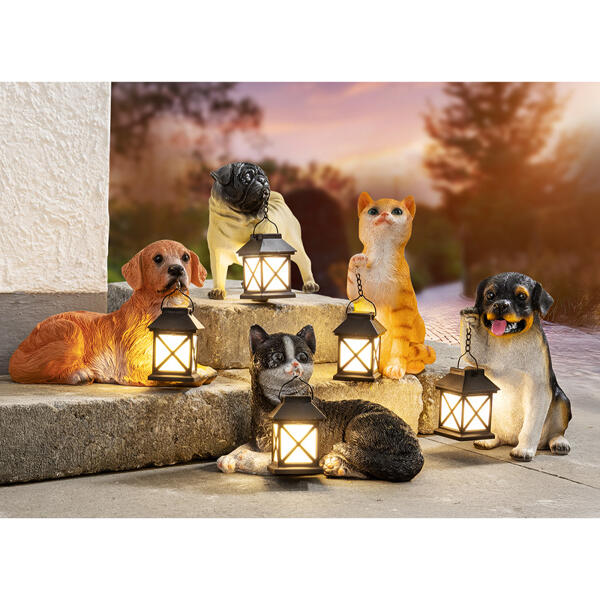 LED-Solar-Hund oder -Katze