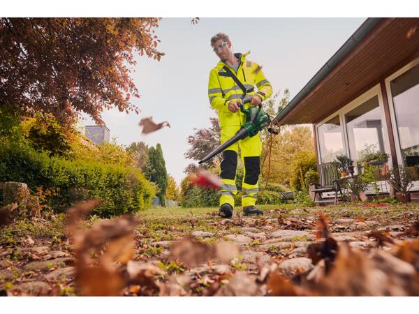 3000W Electric Leaf Blower & Vacuum