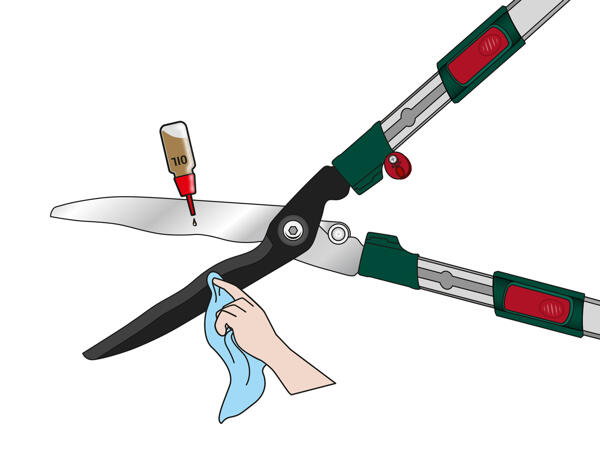 Extendable Hedge Shears