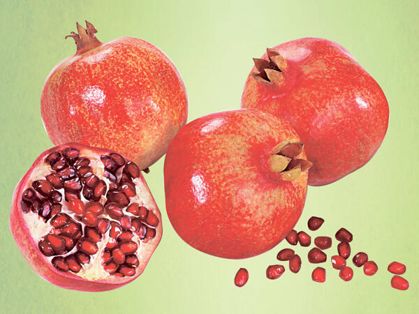 Granatapfel