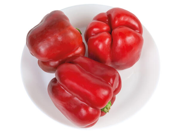 Paprika rot