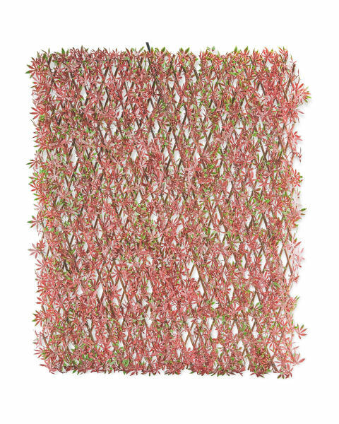 Expanding Red Acer Trellis