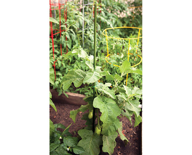 Gardenline Plant Supports