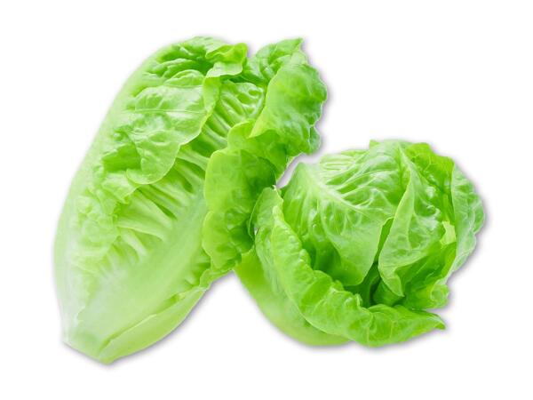 Økologisk dansk hjertesalat