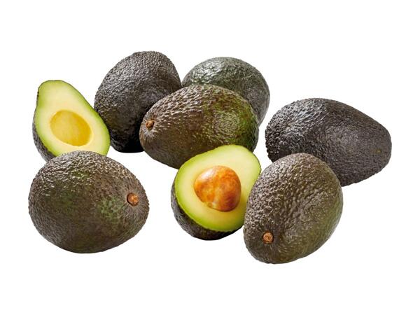 Avocados Net