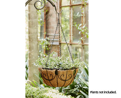 Hanging Baskets