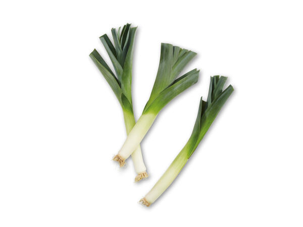 Danske porrer