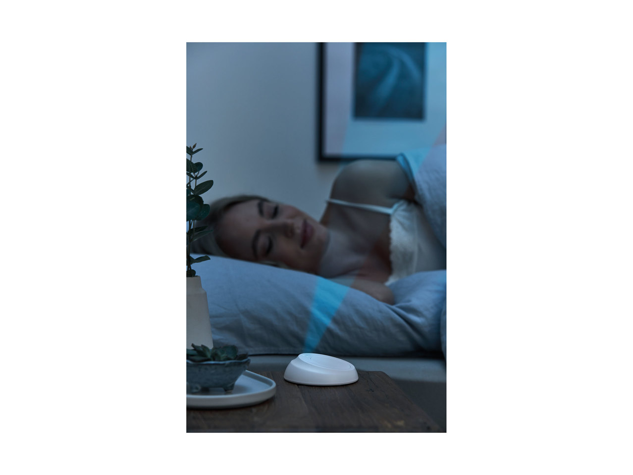 Livarno Living LED Sleeping Aid1