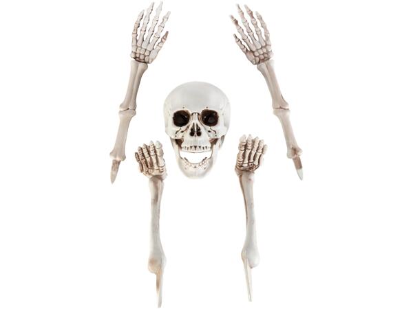 Halloween Decoration