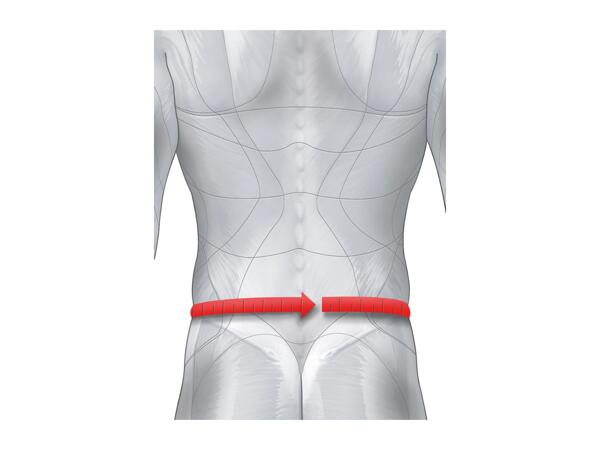Sensiplast Back Brace Lumbo Active