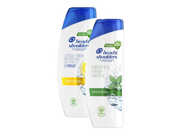 Shampoo
