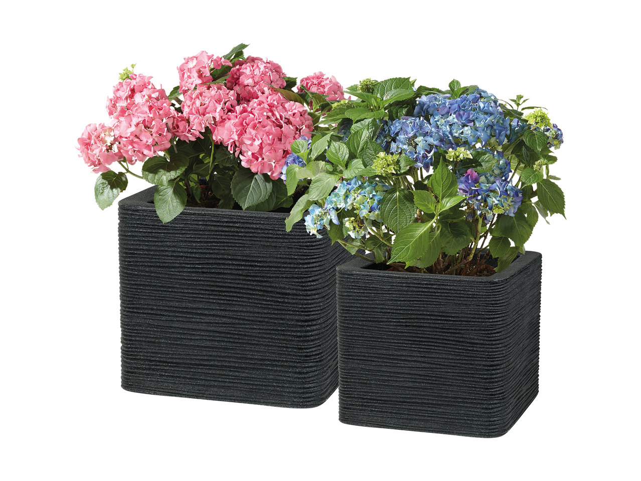 Florabest Planter Set1