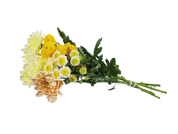 Chrysantemenstrauß