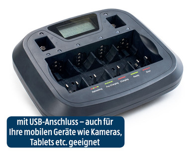 ACTIV ENERGY Profi-Schnellladegerät