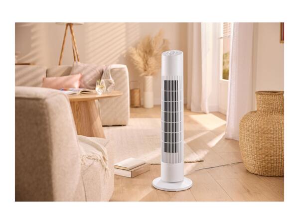 White Tower Fan