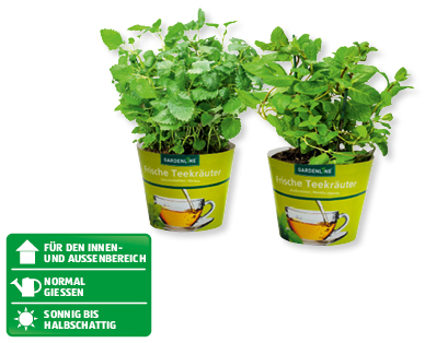 GARDENLINE(R) Teekräuter