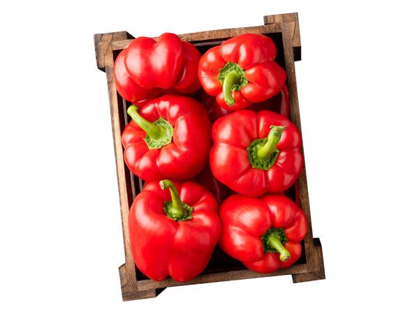 Röd paprika