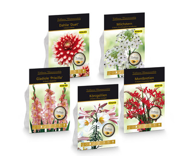 Exklusive Blumenzwiebeln