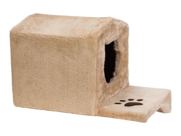 Cat Climbing Wall