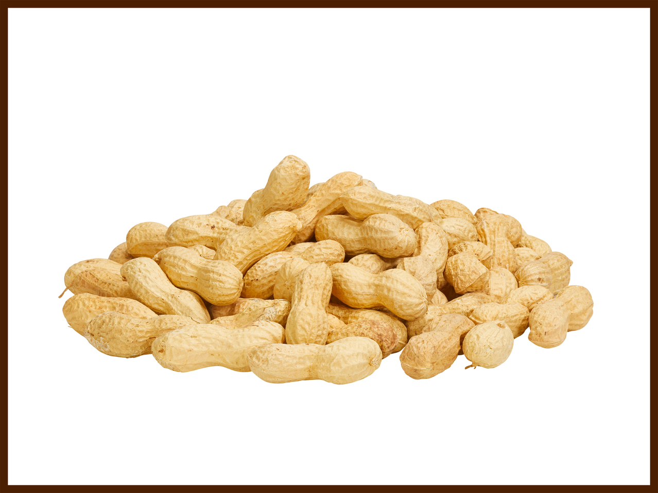 Cacahuètes géantes des États-Unis
