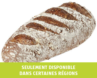 GOURMET 
 PAIN PROTÉINÉ