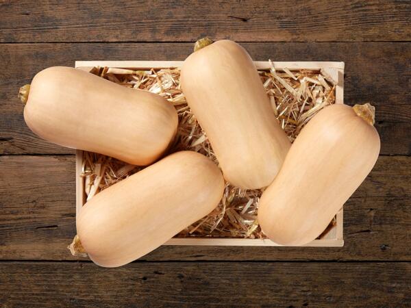 Kürbis Butternuss