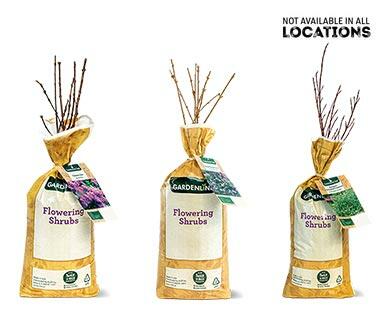 Gardenline 
 Flowering Shrub Assorted Varieties