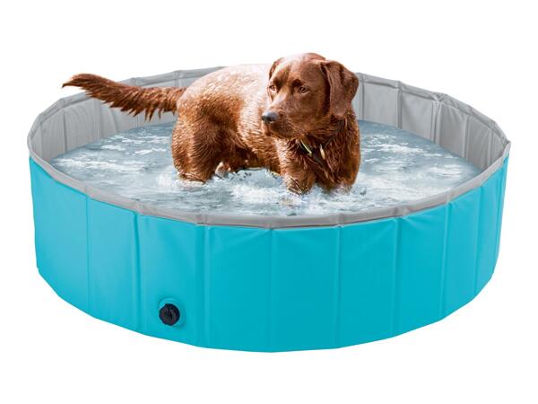 Zoofari Dog Pool