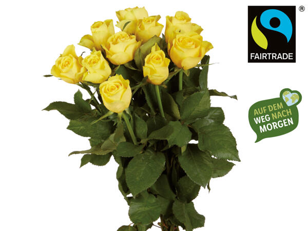 Fairtrade Rosen