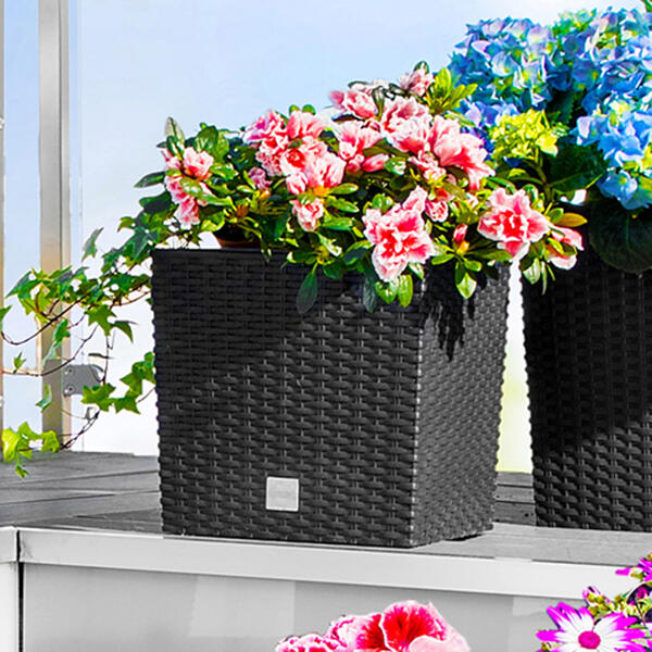 Blumentopf