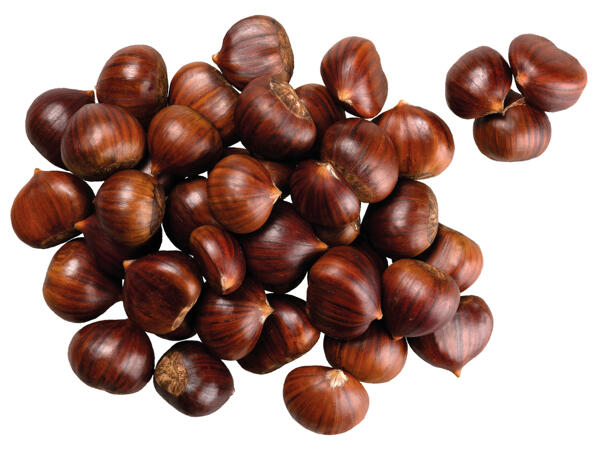 Esskastanien