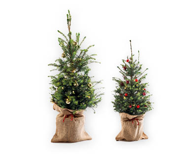 Albero di Natale addobbato