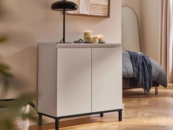 Storage Cabinet With 2 Doors