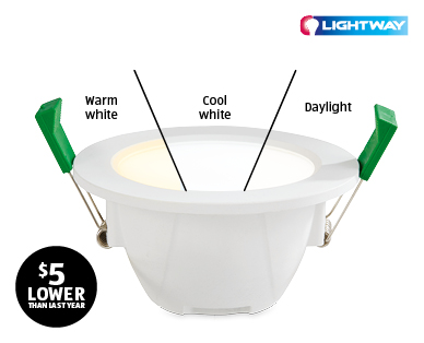 LED Downlight 10W