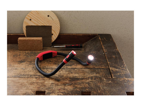 Livarno Lux Dual LED Neck Light
