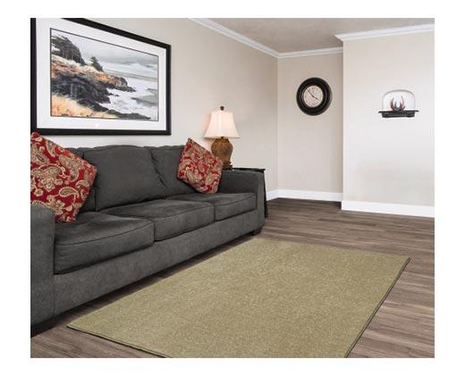 Huntington Home 
 5' x 7' Plush or Berber Area Rug