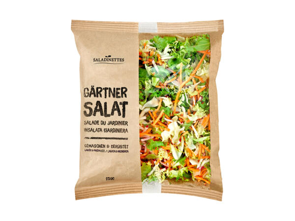 Insalata giardiniera
